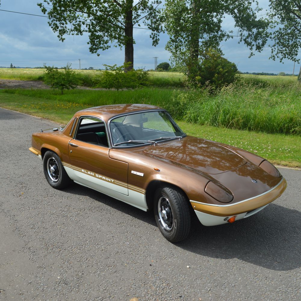 Hilton & Moss servicing for your luxury, performance or classic Classic Lotus