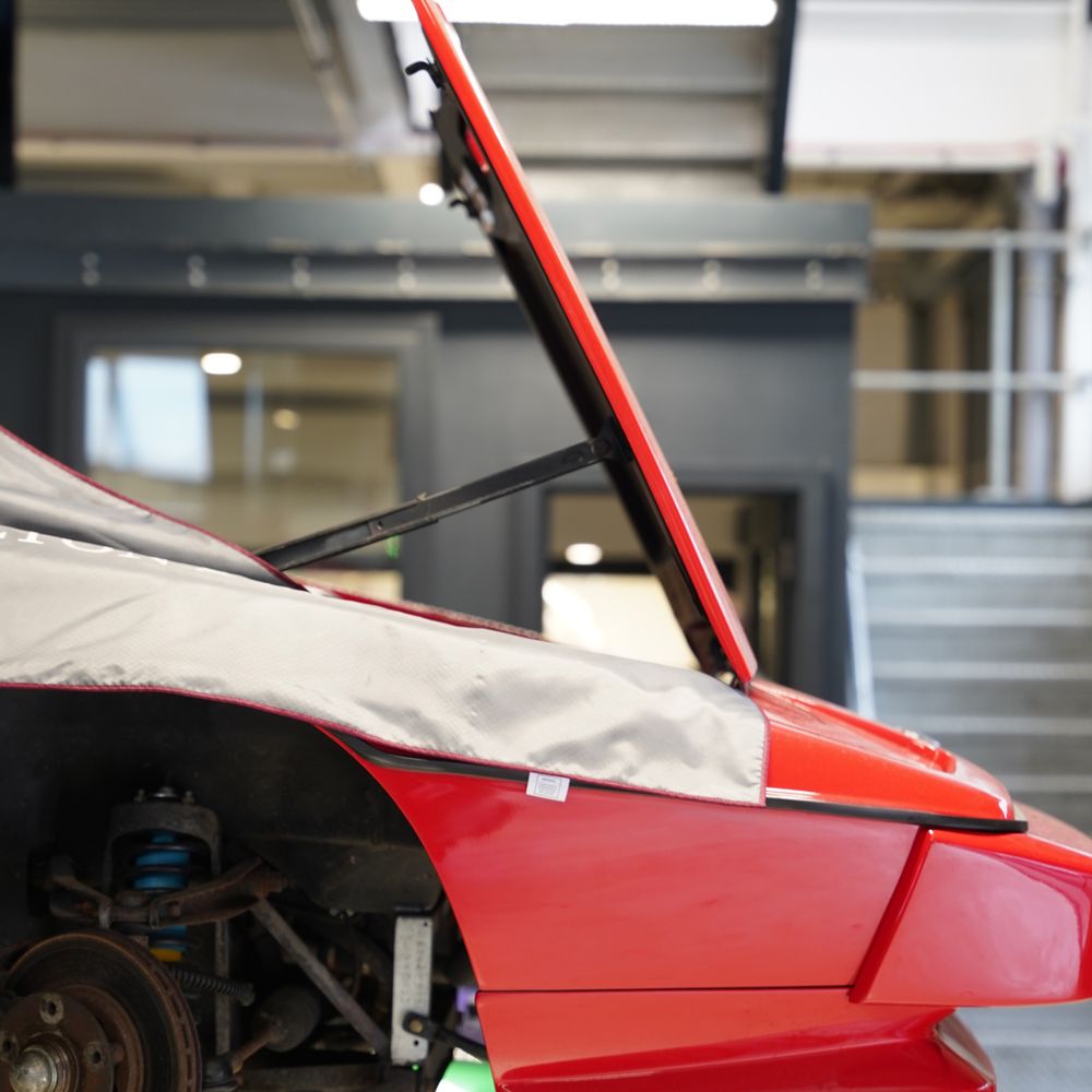Hilton & Moss servicing for your luxury, performance or classic Classic Lotus